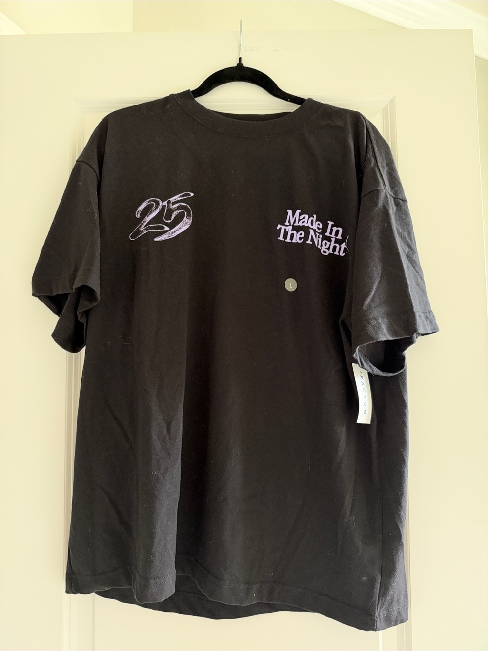 NWT Pacsun Men’s Graphic Tee L